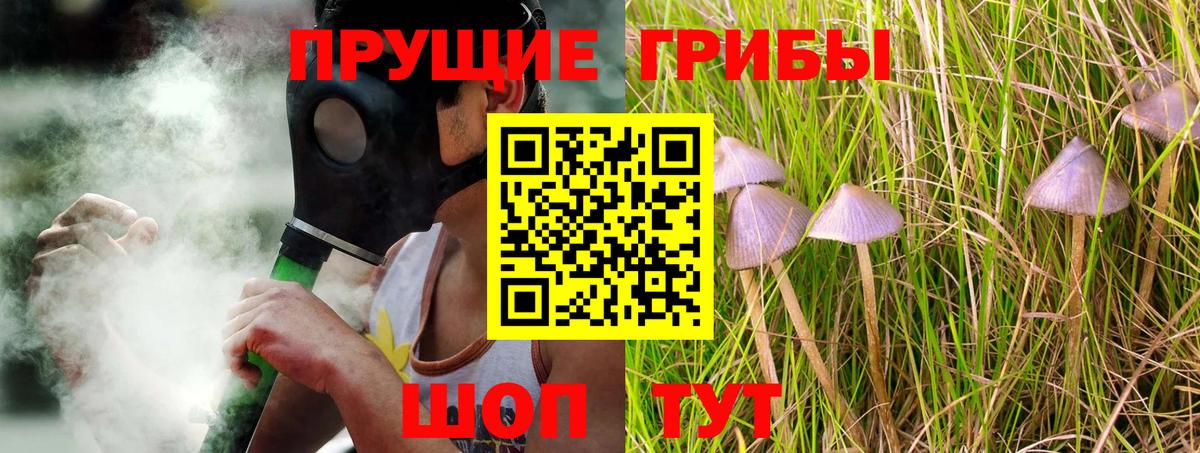 Чистополь  Галлюциногенные грибы ЛСД  Вход с VPN 